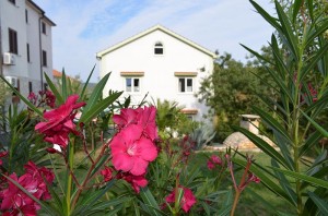 house_apartments_losinj_20